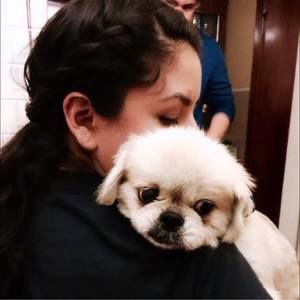 Meet your Posher, Lucy